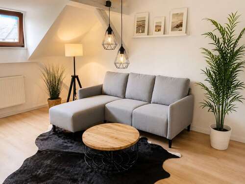 Foto - Wohnung zum Mieten in Zwickau 1.100,00 € 59 m²