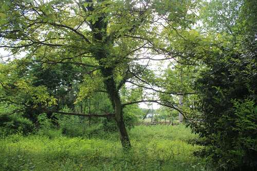 Foto - Grundstück zu verkaufen in Leichlingen 599.000,00 € 1580 m²