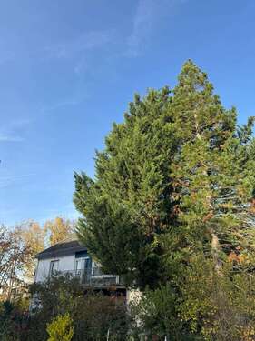 Foto - Haus zum Kaufen in Darmstadt 1.290.000,00 € 310 m²