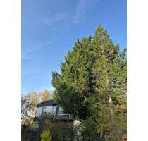 Haus zum Kaufen in Darmstadt 1.290.000,00 € 310 m²