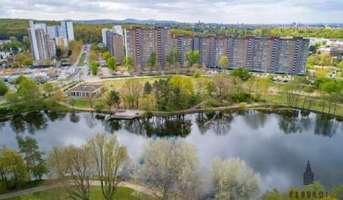 Foto - Wohnung zum Kaufen in Darmstadt 290.000,00 € 101 m²