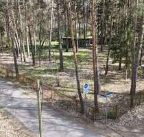 Grundstück zu verkaufen in Borkheide 115.000,00 € 826 m²