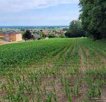 Grundstück zu verkaufen in Holzheim 485.000,00 € 7680 m²