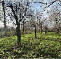 Grundstück in Engelschoff Neuland 63.000,00 € 3584 m² - Engelschoff / Neuland