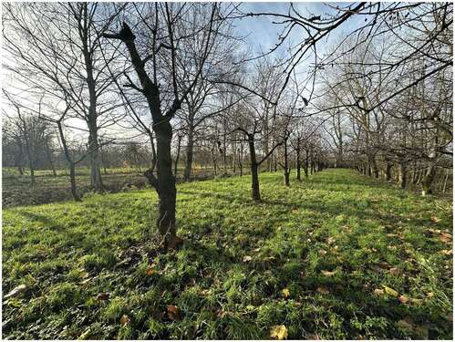 Foto - Grundstück in Engelschoff Neuland 63.000,00 € 3584 m²