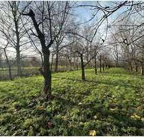 Grundstück in Engelschoff Neuland 63.000,00 € 3584 m² - Engelschoff / Neuland