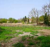 Grundstück zu verkaufen in Brandenburg an der Havel 79.000,00 € 503 m²