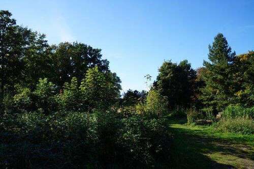 Foto - Grundstück zu verkaufen in Wismar 795.000,00 € 5960 m²