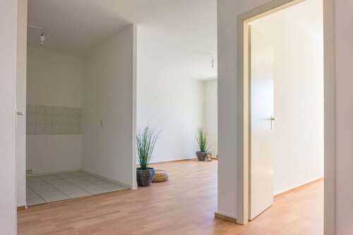 Foto - Wohnung zum Mieten in Chemnitz 295,00 € 55.07 m²