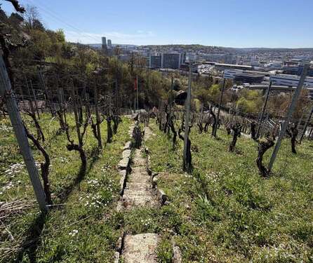 Foto - Grundstück in Stuttgart 16.000,00 € 618 m²