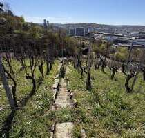 Grundstück in Stuttgart 16.000,00 € 618 m²