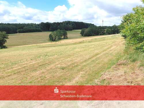 Foto - Grundstück in Markt Wald 30.000,00 € 7330 m²