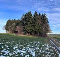 Grundstück in Hagenheim 149.900,00 € 23327 m² Grundstück in Hagenheim 149.900,00 € 23327 m²