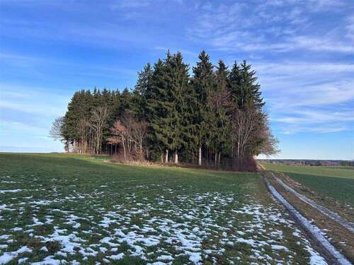 Foto - Spezialgewerbe in Hagenheim 149.900,00 €