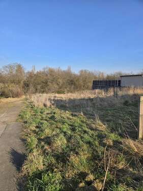 Foto - Grundstück zu verkaufen in Langenlonsheim 288.000,00 € 832 m²