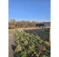 Grundstück zu verkaufen in Langenlonsheim 288.000,00 € 832 m²