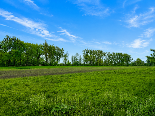 Foto - Grundstück zu verkaufen in München 1.499.000,00 € 798 m²