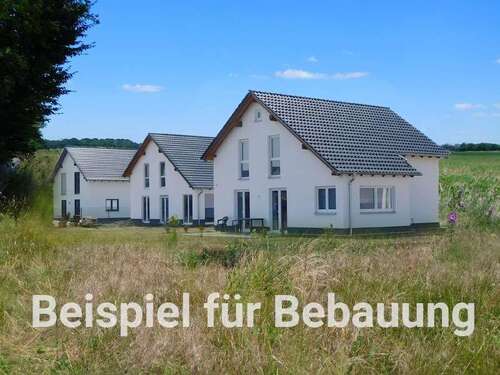 Foto - Grundstück zu verkaufen in Schönwölkau 94.978,00 € 562 m²