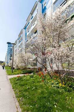 Foto - Wohnung zum Mieten in Chemnitz 294,00 € 56.29 m²