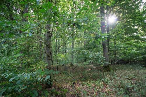 Foto - Grundstück in Poppenhausen 354.000,00 € 120000 m²