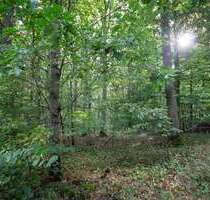 Grundstück in Poppenhausen 354.000,00 € 120000 m²