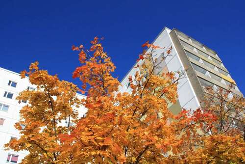 Foto - Wohnung zum Mieten in Hoyerswerda 287,00 € 51.42 m²