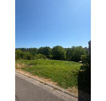 Grundstück zu verkaufen in Steinheim an der Murr 369.820,00 € 450 m²