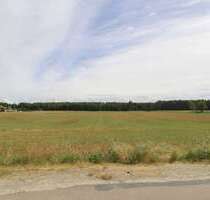 Grundstück zu verkaufen in Kemberg 70.000,00 € 42730.3 m²