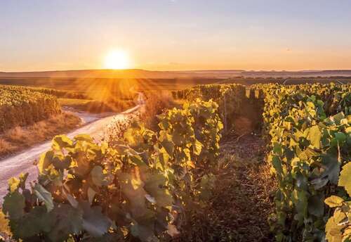 Foto - Grundstück zu verkaufen in Groß-Umstadt 469.500,00 € 837.77 m²