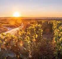 Grundstück zu verkaufen in Groß-Umstadt 469.500,00 € 837.77 m²