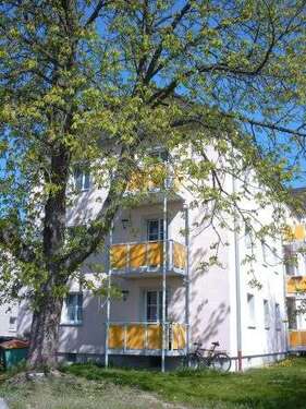Foto - Wohnung zum Mieten in Tirschenreuth 252,50 € 42.98 m²