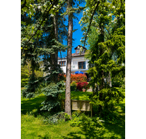 Haus zum Kaufen in Usingen 895.000,00 € 195 m²