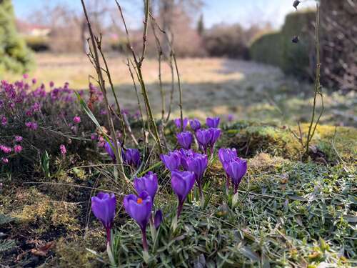 Foto - Grundstück zu verkaufen in Straßlach 1.297.000,00 € 857 m²