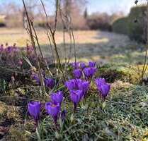 Grundstück zu verkaufen in Straßlach 1.297.000,00 € 857 m²
