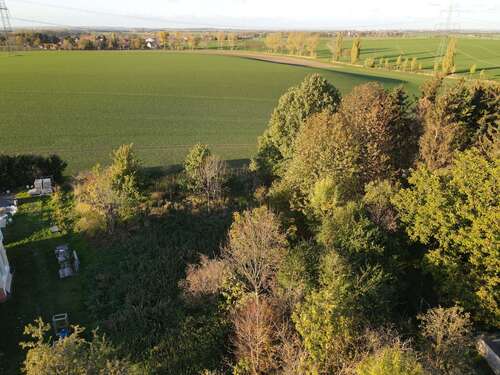 Foto - Grundstück zu verkaufen in Striegnitz 89.000,00 € 2000 m²