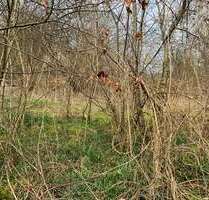 Grundstück zu verkaufen in Bevern 39.900,00 € 1810 m²