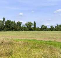 Grundstück zu verkaufen in Bad Liebenwerda OT Möglenz 48.000,00 € 1600 m² - Bad Liebenwerda / OT Möglenz