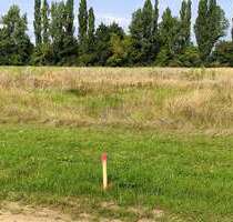 Grundstück zu verkaufen in Bad Liebenwerda OT Möglenz 99.000,00 € 3300 m² - Bad Liebenwerda / OT Möglenz