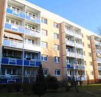 Wohnung zum Kaufen in Potsdam 205.000,00 € 61 m²