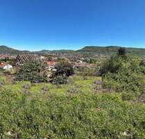 Grundstück zu verkaufen in Pfullingen 360.000,00 € 538 m²