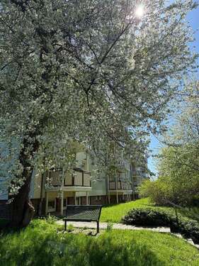 Foto - Wohnung zum Mieten in Wilkau-Haßlau 338,00 € 51.76 m²