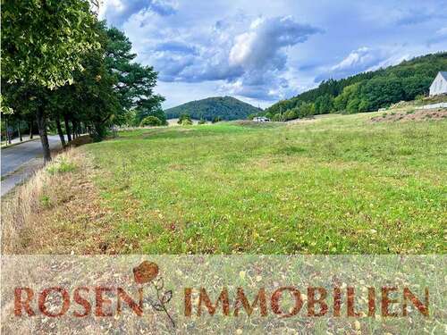 Foto - Grundstück zu verkaufen in Wald-Michelbach 73.000,00 € 613 m²
