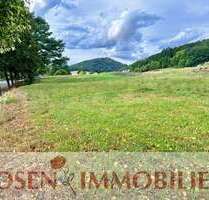 Grundstück zu verkaufen in Wald-Michelbach 73.000,00 € 613 m²
