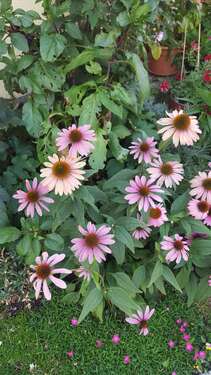 Foto - Haus zum Kaufen in Sinsheim-Eschelbach 340.000,00 € 166 m²