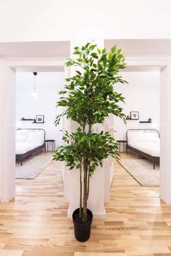 Foto - WG-Zimmer in Berlin 1.005,00 € 15 m²