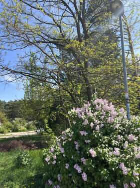 Foto - Grundstück zu verkaufen in Töpchin 265.000,00 € 1472 m²