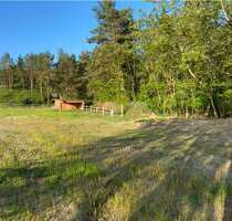 Grundstück zu verkaufen in Neuhardenberg 75.000,00 € 2700 m²