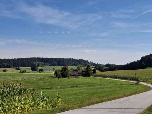 Foto - Haus zum Kaufen in Regen 650.000,00 € 144 m²