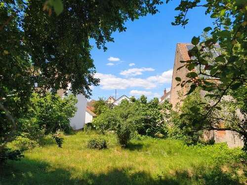 Foto - Grundstück zu verkaufen in Freisbach 170.000,00 € 538 m²