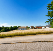Grundstück zu verkaufen in Grimma 50.000,00 € 850 m²